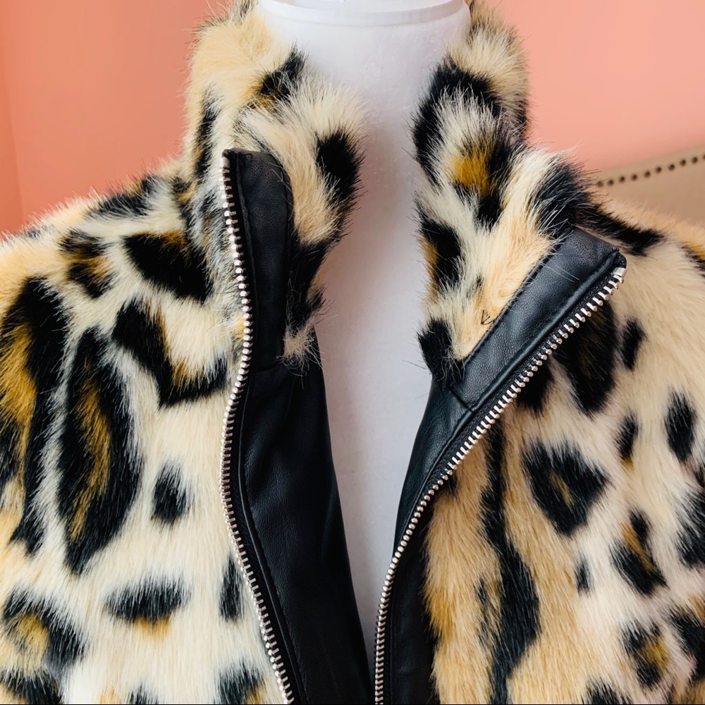 Express Leopard Print Jacket - Picture 4 of 7